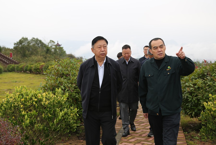 19-2021年10月，原国土资源部副部长汪民莅临公司调研。.jpg