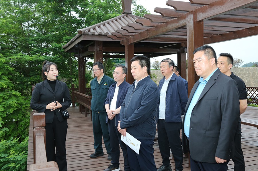 40-2023年6月，省生态环境厅副厅长刘文玺莅临尊龙凯时股份调研.jpg