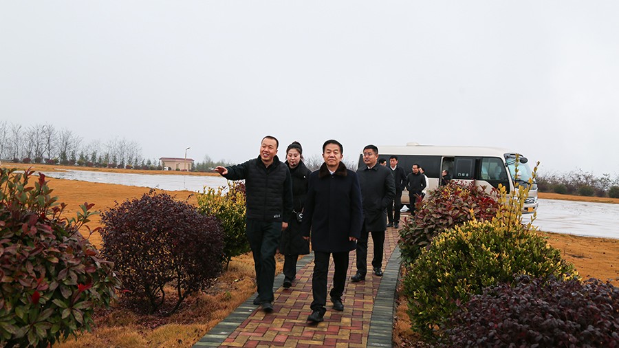 45-2020年12月，省高级人民法院党组成员、副院长任建国莅临尊龙凯时股份调研知识产权司法保护工作。.jpg